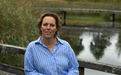 Waarom verlangen naar beter juist helpt bij herstel