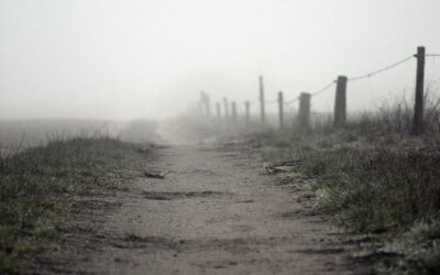 Je kunt niet zien waar je naartoe wilt als je nog in de mist staat